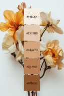 Neutral Colours